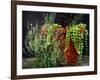 Pleasing Planter-Herb Dickinson-Framed Photographic Print