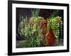 Pleasing Planter-Herb Dickinson-Framed Photographic Print