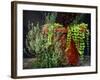 Pleasing Planter-Herb Dickinson-Framed Photographic Print