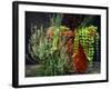 Pleasing Planter-Herb Dickinson-Framed Photographic Print