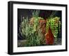 Pleasing Planter-Herb Dickinson-Framed Photographic Print