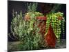 Pleasing Planter-Herb Dickinson-Mounted Photographic Print