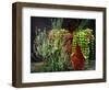 Pleasing Planter-Herb Dickinson-Framed Photographic Print