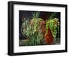 Pleasing Planter-Herb Dickinson-Framed Photographic Print