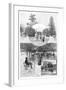 Pleasure Gardens, Sydney, New South Wales, Australia, 1886-WJ Smedley-Framed Giclee Print