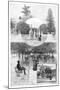 Pleasure Gardens, Sydney, New South Wales, Australia, 1886-WJ Smedley-Mounted Giclee Print