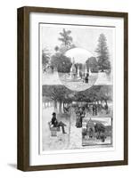 Pleasure Gardens, Sydney, New South Wales, Australia, 1886-WJ Smedley-Framed Giclee Print