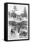 Pleasure Gardens, Sydney, New South Wales, Australia, 1886-WJ Smedley-Framed Stretched Canvas