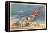 Pleasure Pier, Galveston, Texas-null-Framed Stretched Canvas