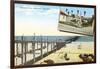Pleasure Pier, Oceanside, California-null-Framed Art Print
