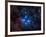 Pleiades, also known as the Seven Sisters-Stocktrek Images-Framed Photographic Print