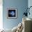 Pleiades Star Cluster-Stocktrek Images-Framed Photographic Print displayed on a wall