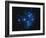 Pleiades Star Cluster-Slawik Birkle-Framed Photographic Print