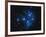 Pleiades Star Cluster-Slawik Birkle-Framed Photographic Print