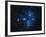 Pleiades Star Cluster-Slawik Birkle-Framed Photographic Print