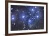 Pleiades Star Cluster-Stocktrek Images-Framed Photographic Print