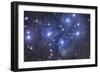 Pleiades Star Cluster-Stocktrek Images-Framed Photographic Print