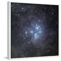 Pleiades Surrounded by Dust and Nebulosity-Stocktrek Images-Framed Photographic Print