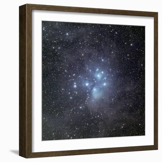 Pleiades Surrounded by Dust and Nebulosity-Stocktrek Images-Framed Photographic Print