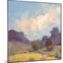 Plein Air Hill Side-Jill Schultz McGannon-Mounted Premium Giclee Print