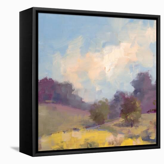 Plein Air Hill Side-Jill Schultz McGannon-Framed Stretched Canvas