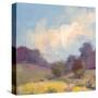 Plein Air Hill Side-Jill Schultz McGannon-Stretched Canvas