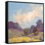 Plein Air Hill Side-Jill Schultz McGannon-Framed Stretched Canvas