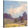 Plein Air Hill Side-Jill Schultz McGannon-Stretched Canvas