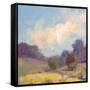 Plein Air Hill Side-Jill Schultz McGannon-Framed Stretched Canvas