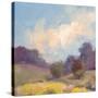 Plein Air Hill Side-Jill Schultz McGannon-Stretched Canvas