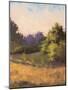 Plein Air Landscape-Jill Schultz McGannon-Mounted Premium Giclee Print