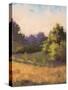 Plein Air Landscape-Jill Schultz McGannon-Stretched Canvas