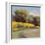 Plein Air Lavender and Yellow-Jill Schultz McGannon-Framed Art Print