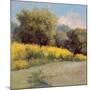 Plein Air Lavender and Yellow-Jill Schultz McGannon-Mounted Art Print