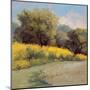 Plein Air Lavender and Yellow-Jill Schultz McGannon-Mounted Art Print