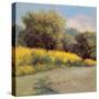 Plein Air Lavender and Yellow-Jill Schultz McGannon-Stretched Canvas