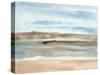 Plein Air Riverscape I-Alicia Ludwig-Stretched Canvas
