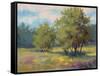 Plein Air View-Jill Schultz McGannon-Framed Stretched Canvas