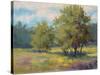 Plein Air View-Jill Schultz McGannon-Stretched Canvas