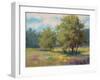 Plein Air View-Jill Schultz McGannon-Framed Premium Giclee Print