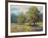 Plein Air View-Jill Schultz McGannon-Framed Art Print