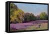 Plein Air Wild Lavender-Jill Schultz McGannon-Framed Stretched Canvas