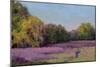 Plein Air Wild Lavender-Jill Schultz McGannon-Mounted Premium Giclee Print