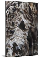 Plenteous Plumage-Staffan Widstrand-Mounted Giclee Print