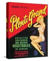 Plenti Grand Vegetables-null-Stretched Canvas