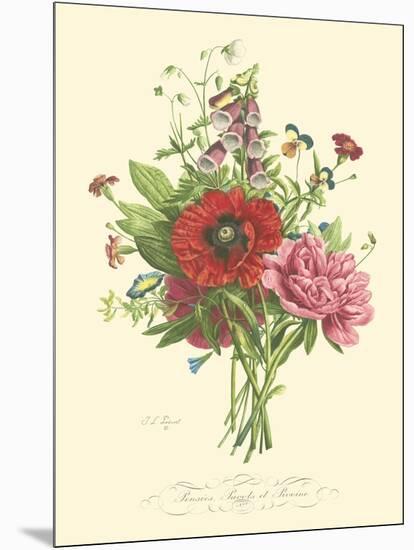 Plentiful Bouquet II-T.L. Prevost-Mounted Art Print