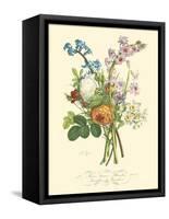 Plentiful Bouquet IV-T.L. Prevost-Framed Stretched Canvas