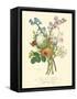 Plentiful Bouquet IV-T.L. Prevost-Framed Stretched Canvas