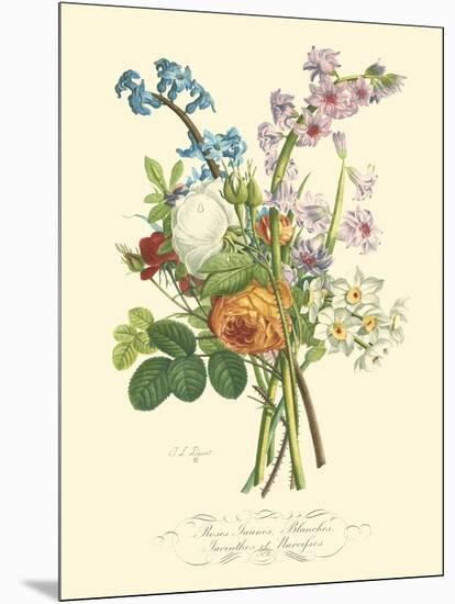 Plentiful Bouquet IV-T.L. Prevost-Mounted Art Print