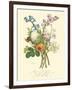 Plentiful Bouquet IV-T.L. Prevost-Framed Art Print